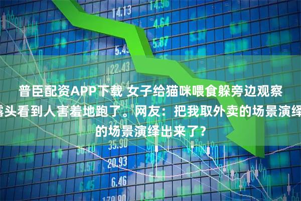 普臣配资APP下载 女子给猫咪喂食躲旁边观察，猫刚露头看到人害羞地跑了。网友：把我取外卖的场景演绎出来了？