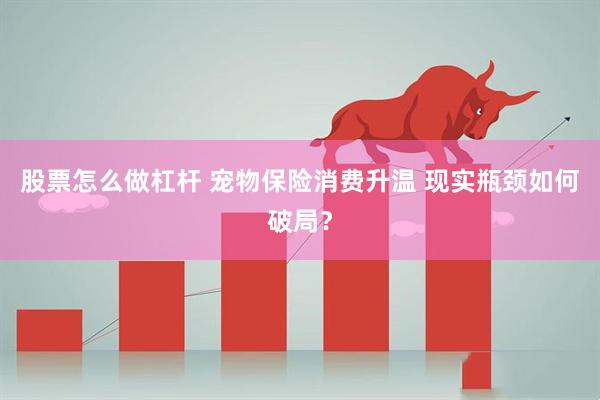 股票怎么做杠杆 宠物保险消费升温 现实瓶颈如何破局？
